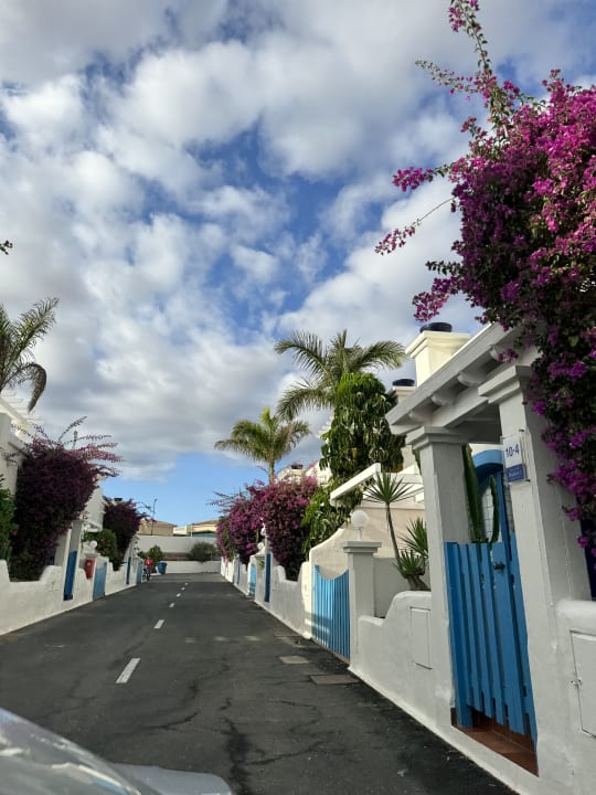 Ausblick Bahiazul Villas & Club