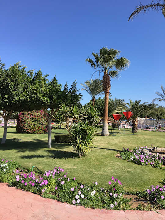 Gartenanlage Desert Rose