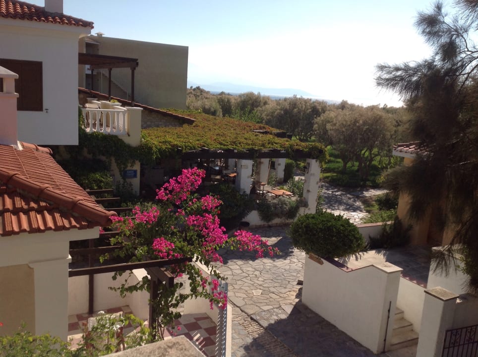 Ausblick Desert Rose