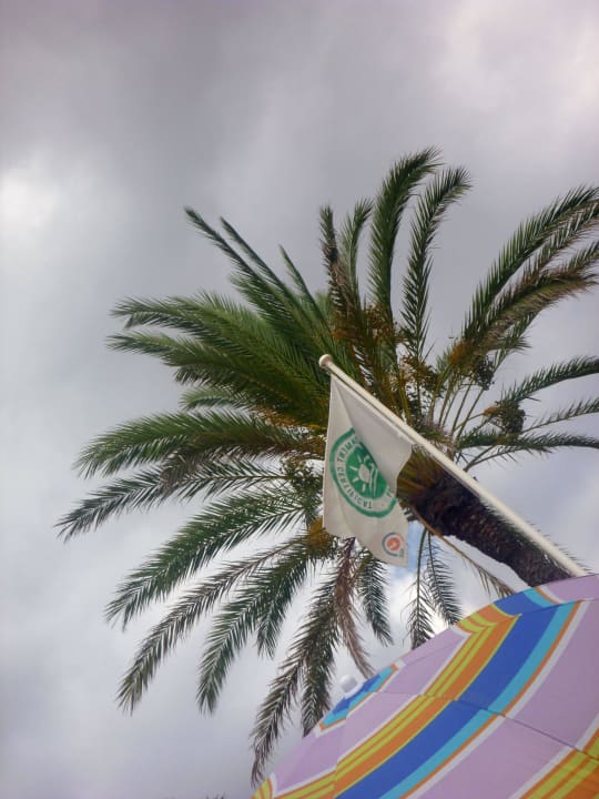 Wolken hatten wir oft NYX Hotel Ibiza - adults only
