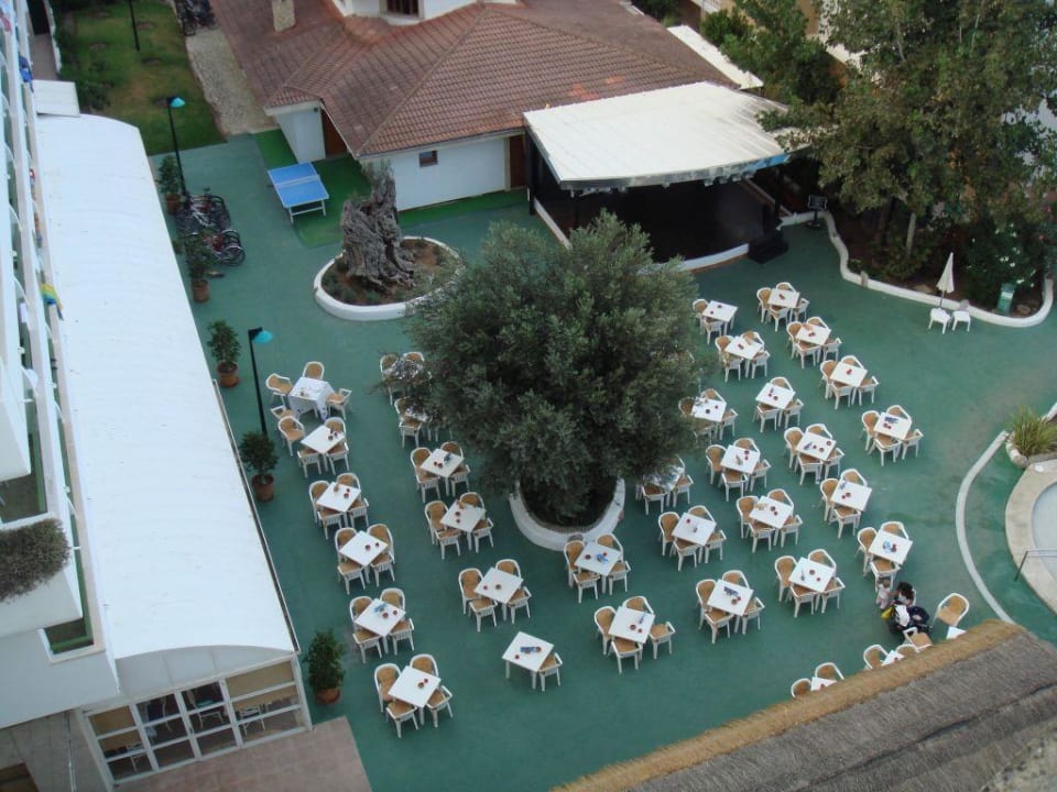 Ausblick allsun Hotel Eden Alcudia