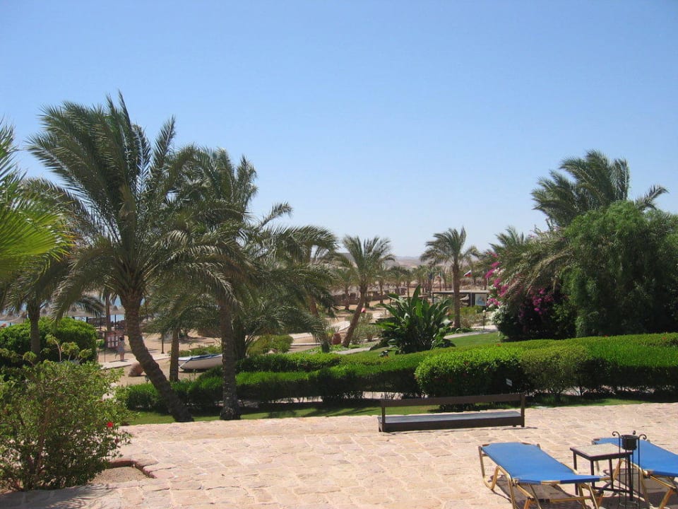 Ausblick von Steinterrasse auf den Strand Steigenberger Coraya Beach - Adults only