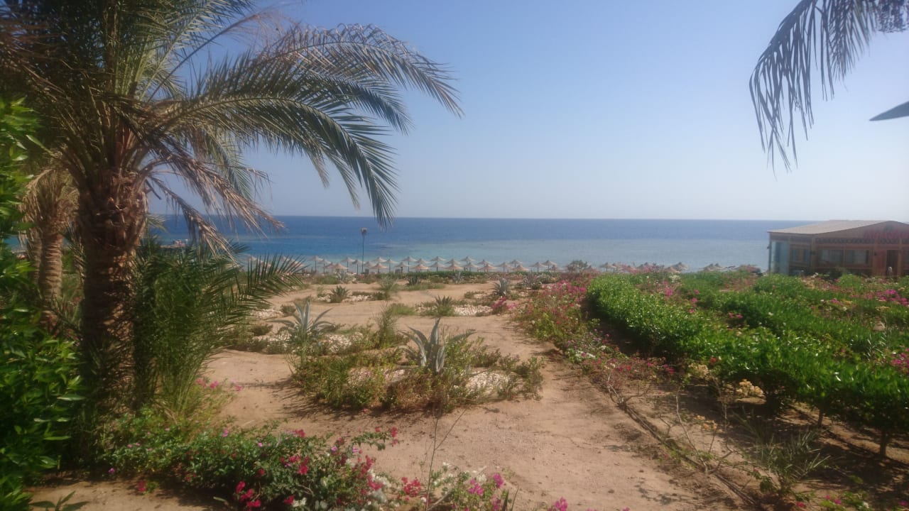 Strand Fantazia Resort Marsa Alam