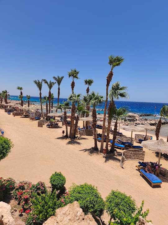 Strand Pickalbatros Citadel Resort