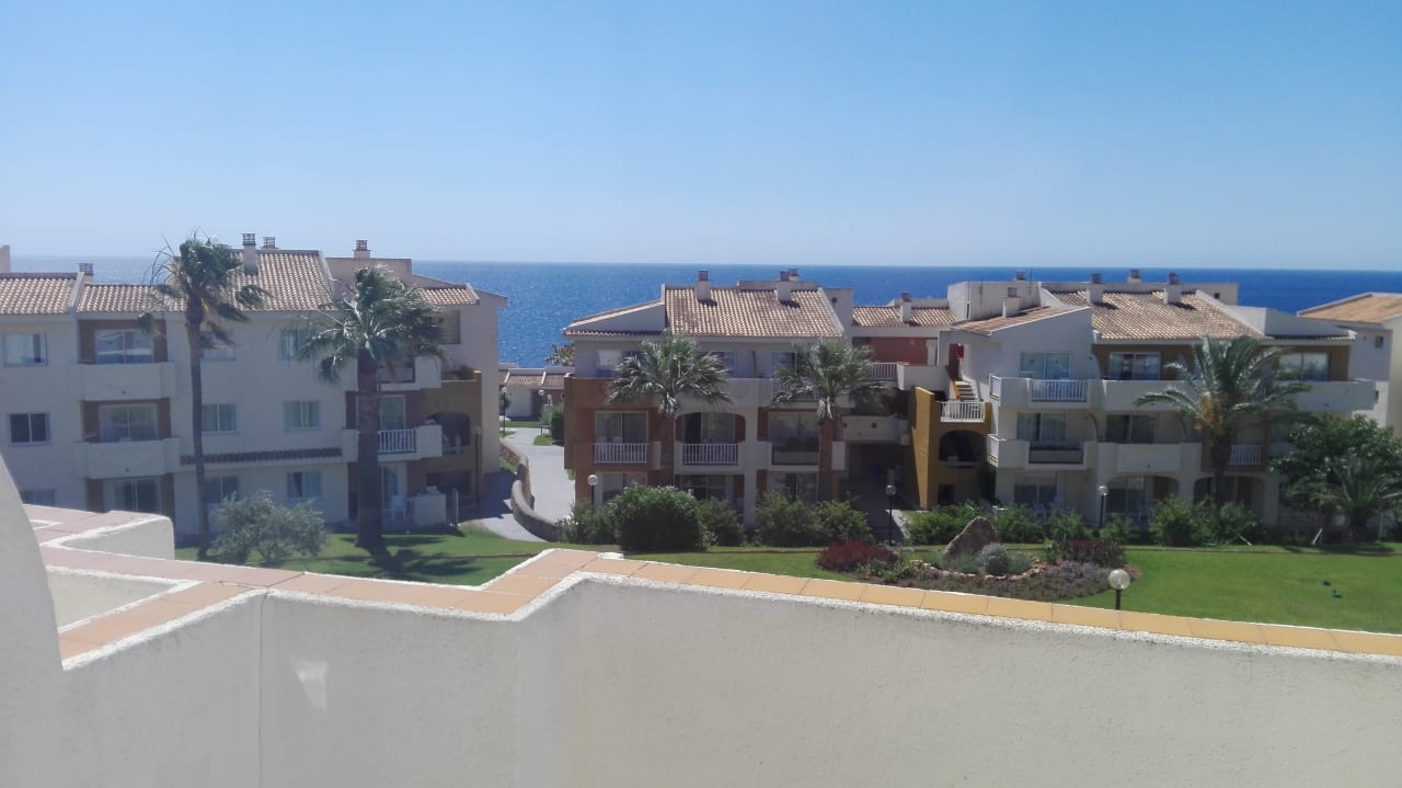 Zimmer blau punta reina