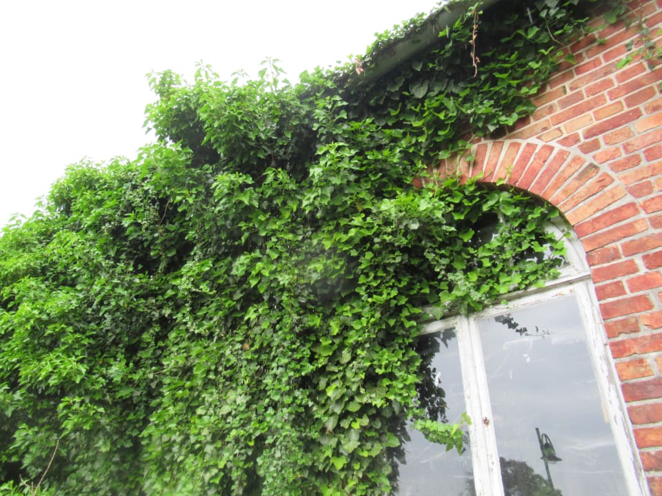Sonstiges Haus Tarnewitz