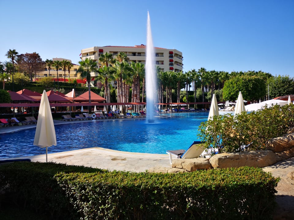 Pool Miramare Queen Hotel