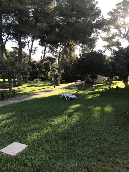 Gartenanlage Protur Floriana Resort Aparthotel