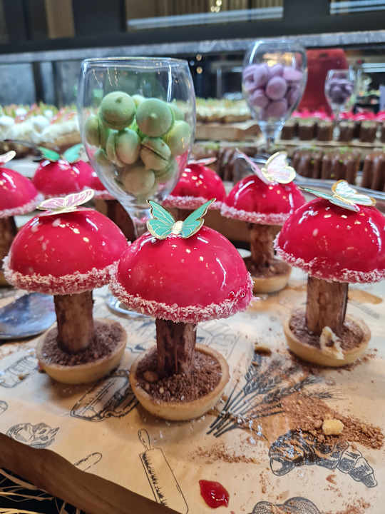 Gastro Seashell Vega