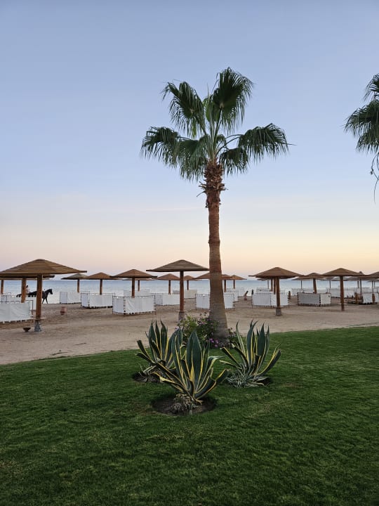 Außenansicht Shams Prestige Abu Soma-Adults Only