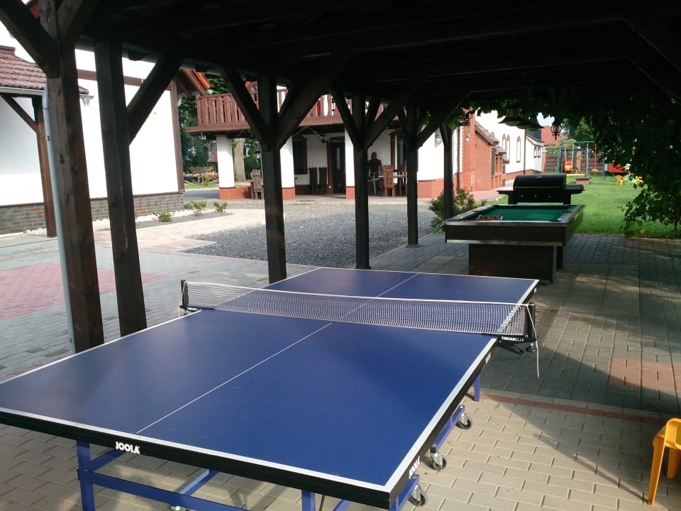 Tenis stołowy Tematyczny Ośrodek Sportowo-Rekreacyjny Dwór Zawiszy