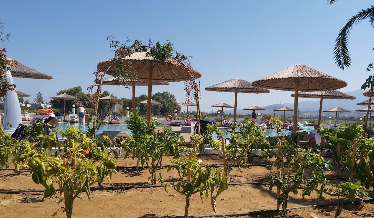 Außenansicht Grecotel Casa Paradiso