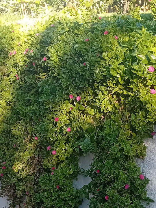 Außenansicht Diamond Premium Hotel & Spa