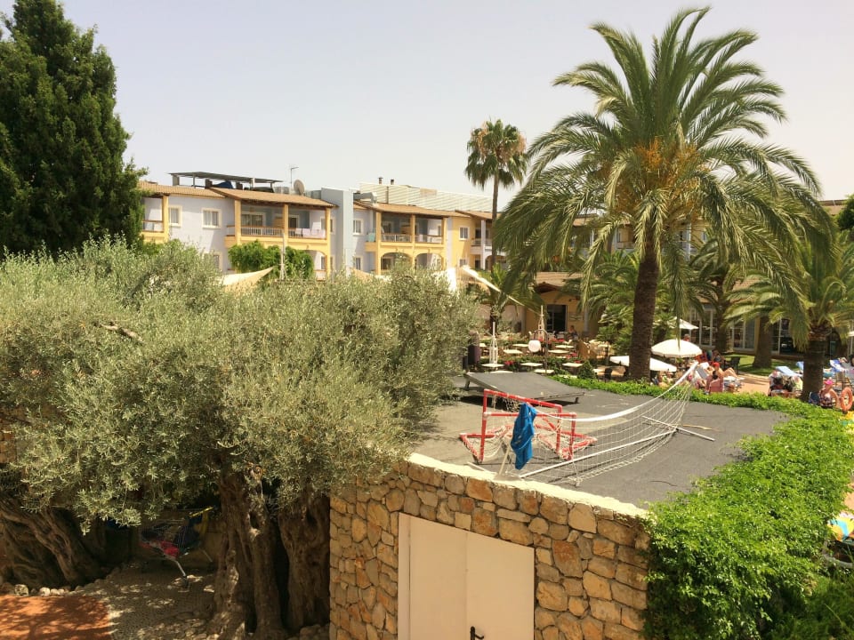 Blick vom Balkon Alcudia Garden Aparthotel