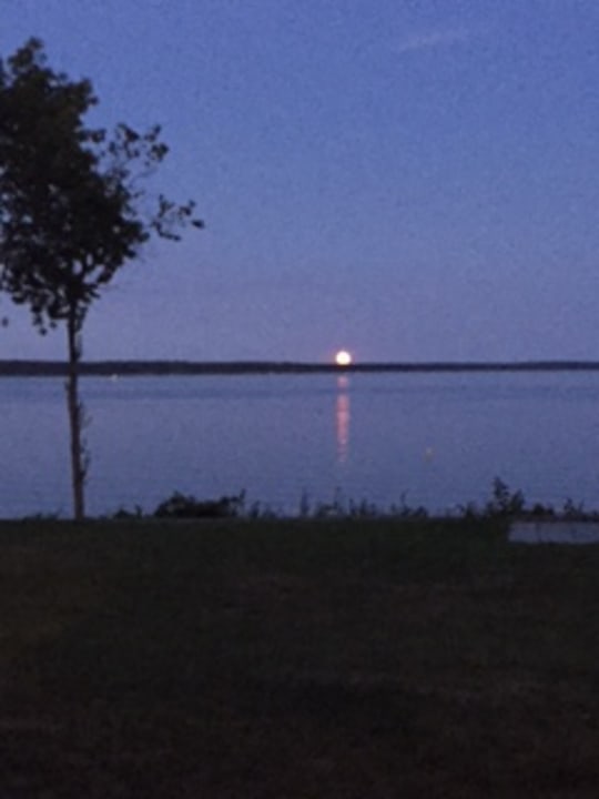 Ausblick Seehotel Schloss Klink