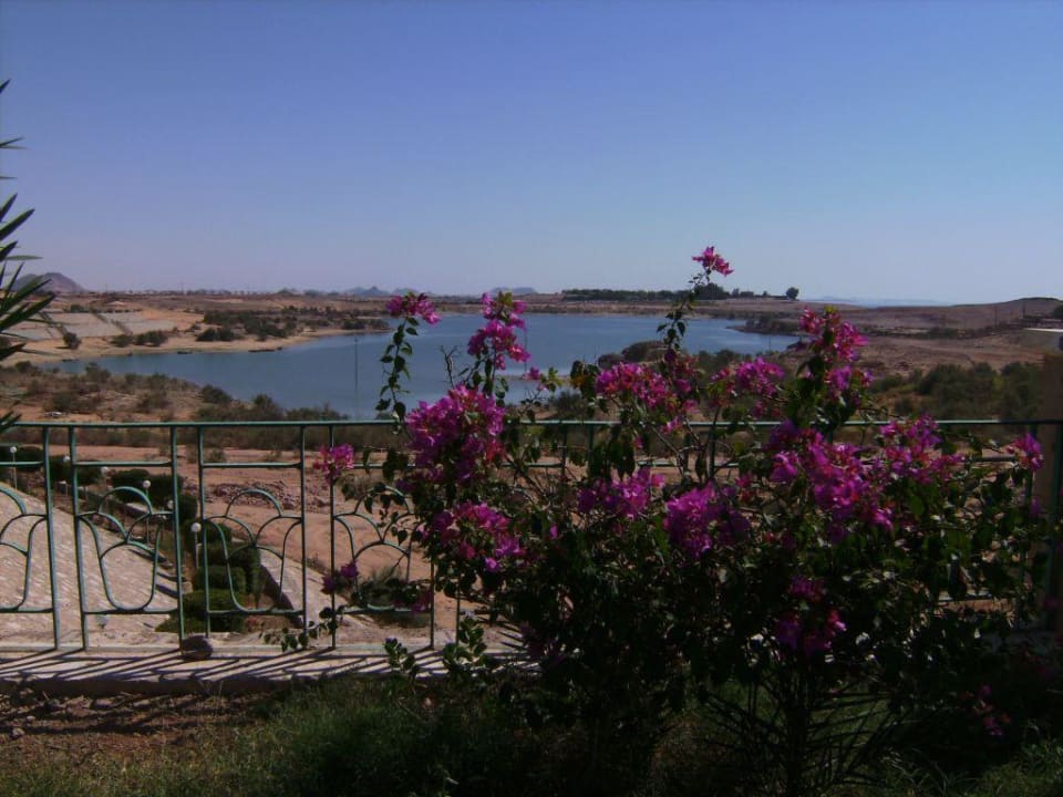 Blick vom Pool auf den See Hotel Nefertari