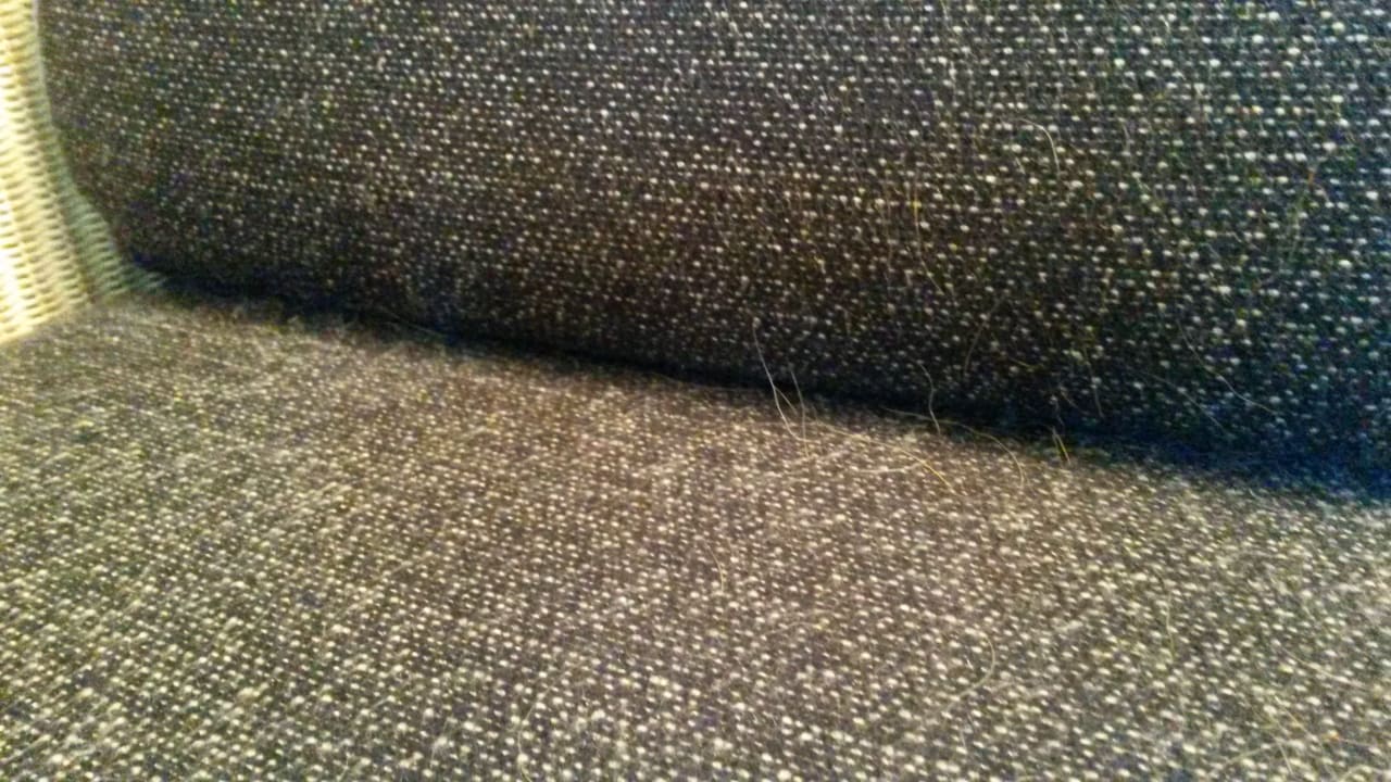 Zimmer Roompot Vakantiepark Kijkduin