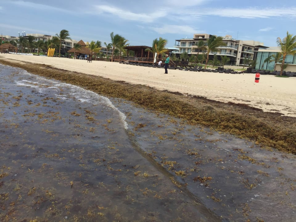Widok plaży Hideaway at Royalton Riviera Cancun