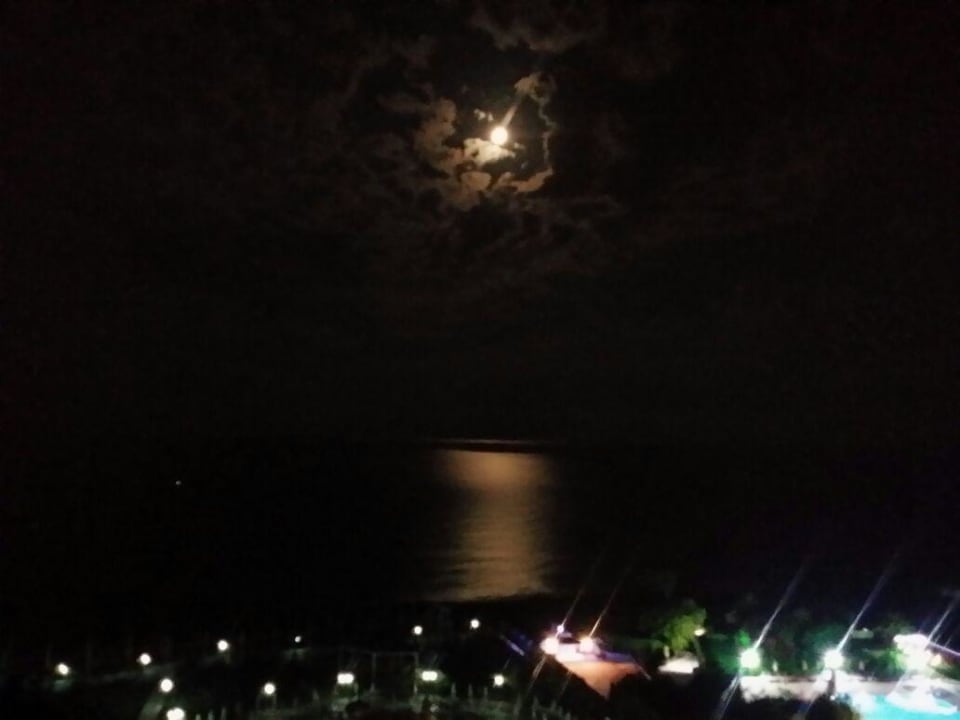 Aussicht Seaden Sea Planet Resort & Spa