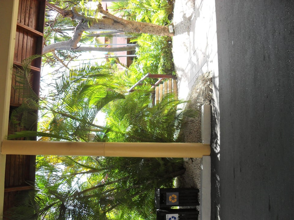 Hotel Grand Palladium Bávaro Suites Resort & Spa Grand Palladium Select Bávaro Resort & Spa