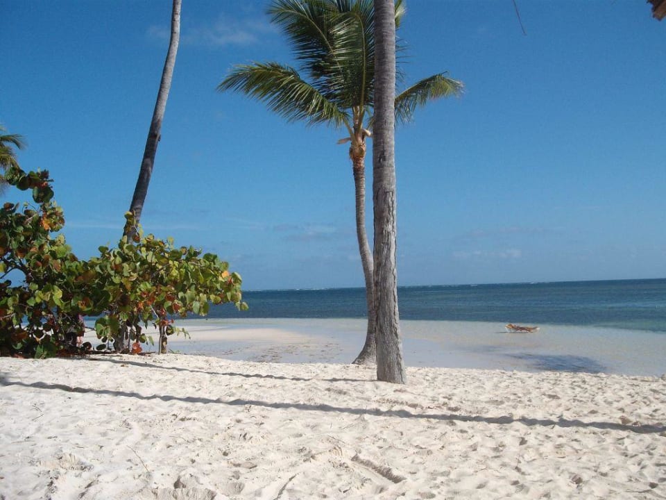 Strand Catalonia Royal Bavaro - Adults only
