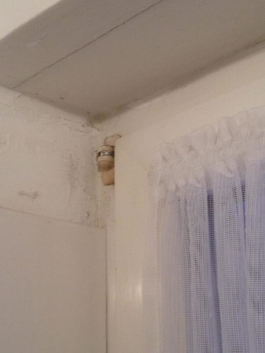 Badfenster Appartementhaus Vierjahreszeiten