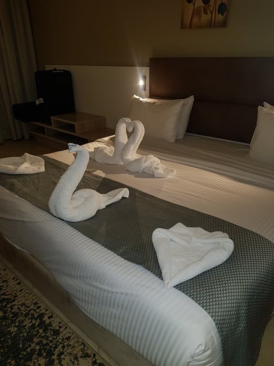 Zimmer Titanic Royal