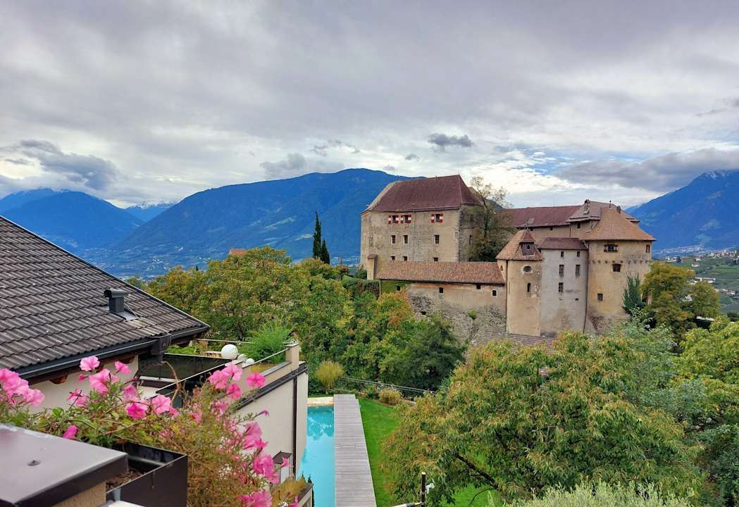 Ausblick Baumgartner's Blumenhotel