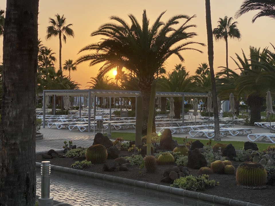 Gartenanlage Hotel Riu Gran Canaria