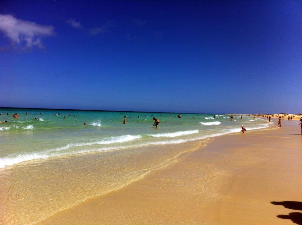 Strand, soweit das Auge reicht... Hotel Riu Oliva Beach - Hotel