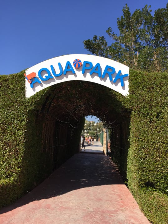 Sport & Freizeit Desert Rose