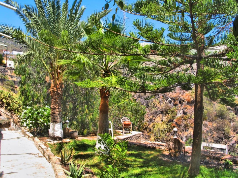 Finca Constanza Finca Constanza