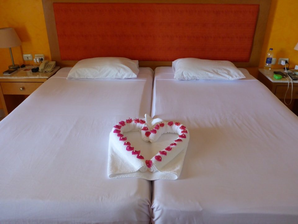 Zimmer Hotel Gorgonia Beach Resort