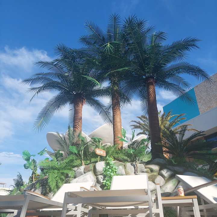 Pool Hotel The Palms Casino Resort