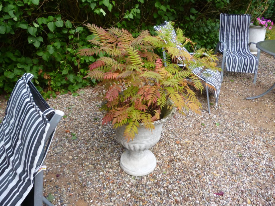 Im Vorgraten Hotel Schloss Frauenmark