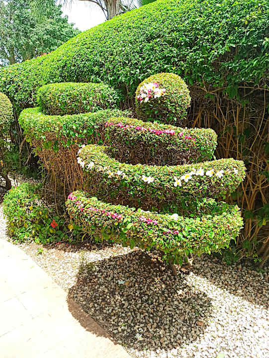 Gartenanlage Hotel Riu Palace Zanzibar