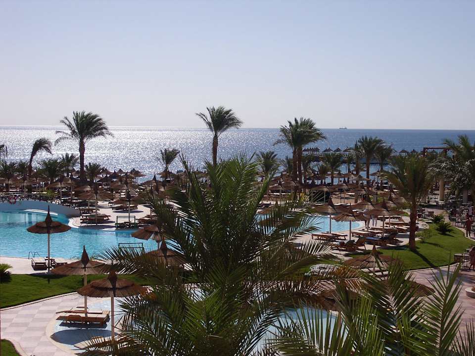 Zimmerausblick Beach Albatros Resort