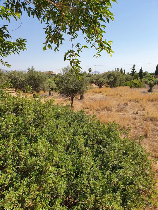 Gartenanlage Atlantica Mikri Poli Rhodes