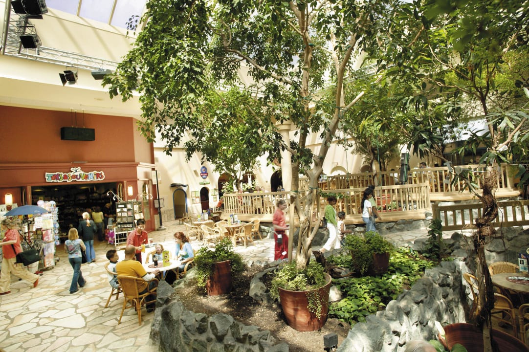 Market Dome Center Parcs Park Hochsauerland