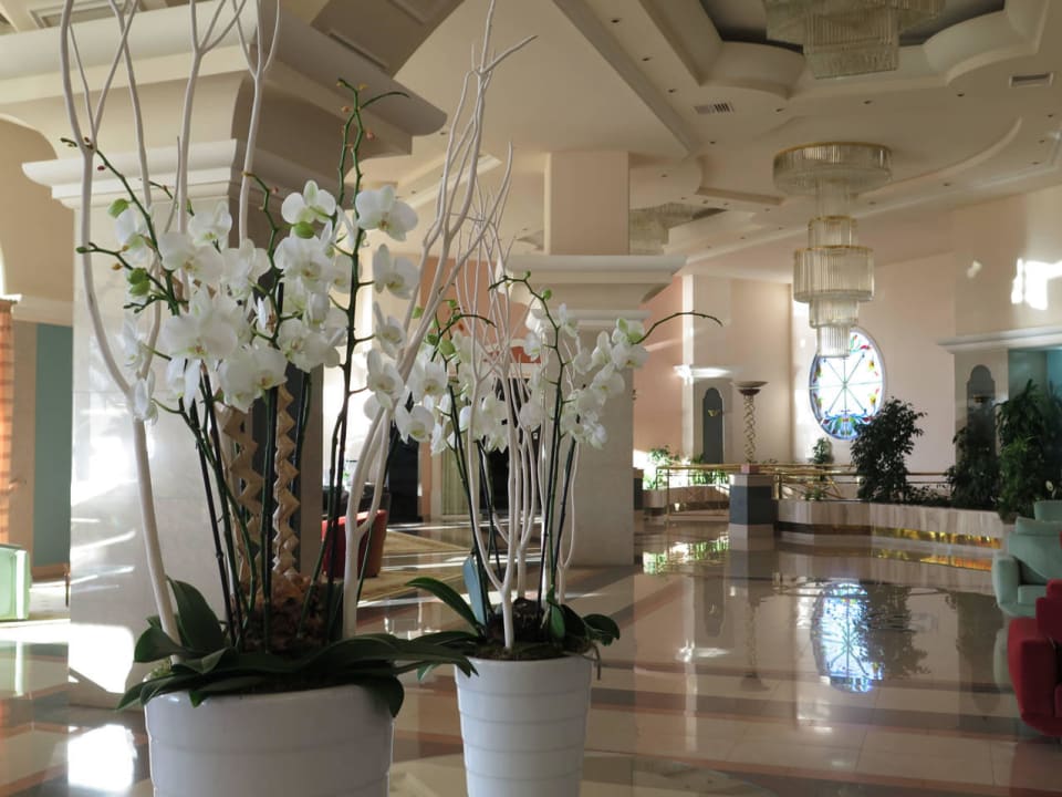 Alles blitzblank Rodos Palladium Leisure & Wellness