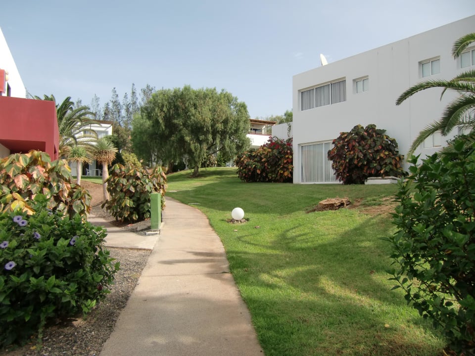 Garten allsun App.-Hotel Esquinzo Beach