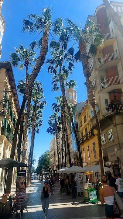 Sonstiges Benalma Hotel Costa del Sol