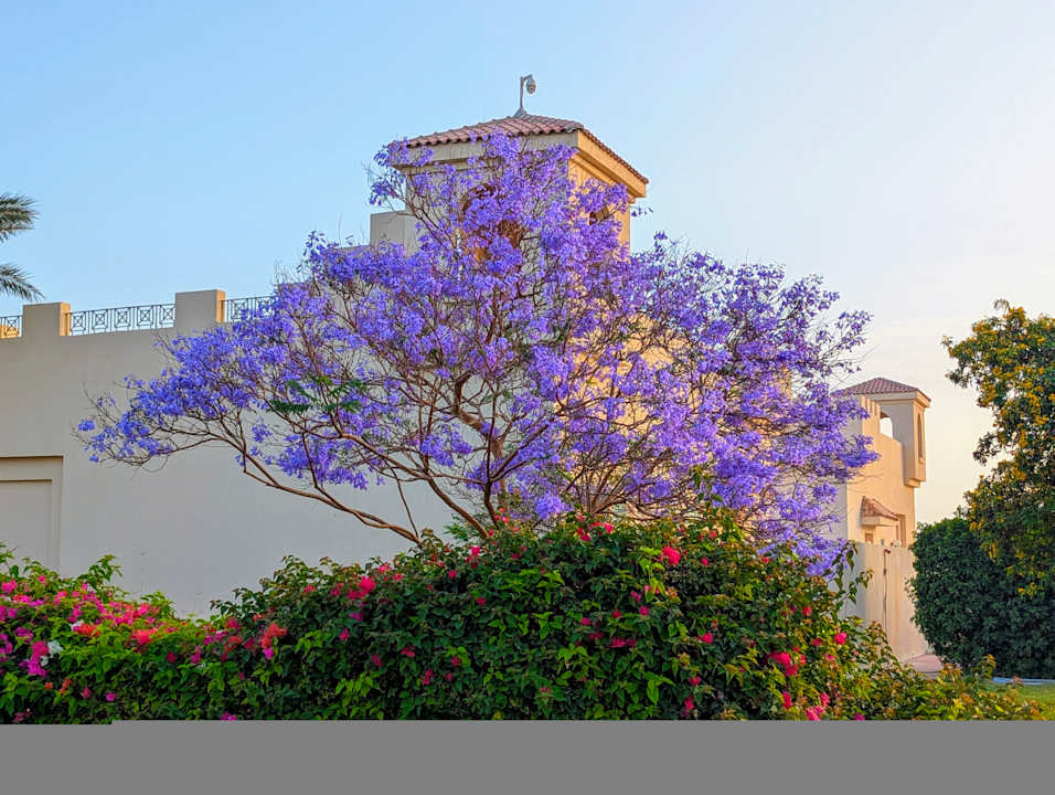 Außenansicht Cleopatra Luxury Resort Makadi Bay