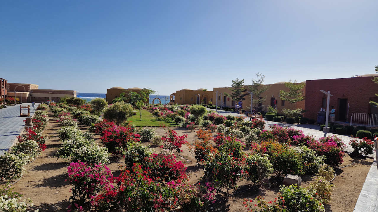 Gartenanlage Pickalbatros Vita Resort - Portofino Marsa Alam