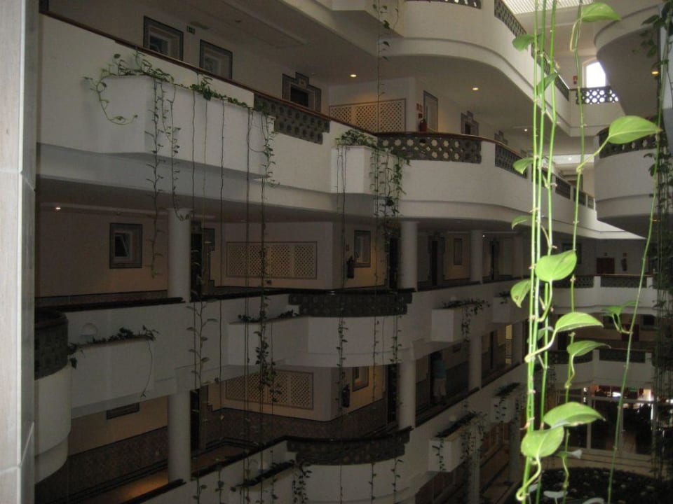 Innen Hotel Oriental AP Oriental Beach - Adults Friendly