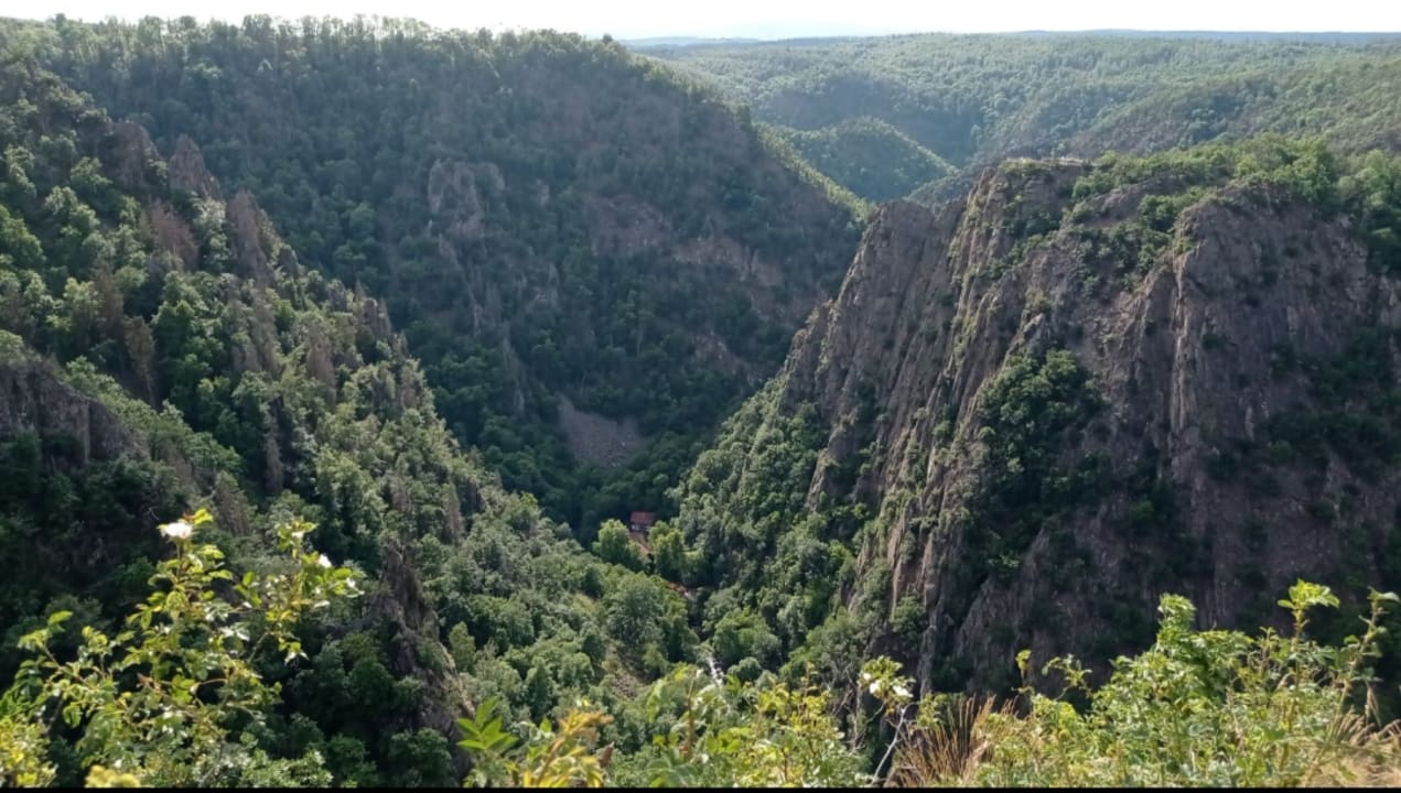 Ausblick Hotel Villa Alice