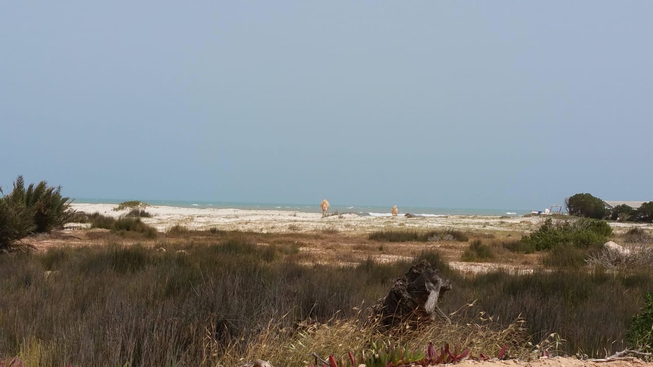 Blick in der Nähe des Hotels zum Strand Iberostar Waves Mehari Djerba