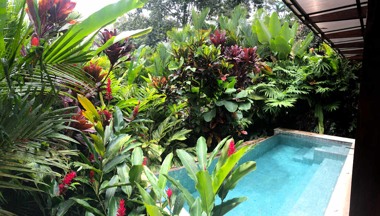 Pool Hotel Nayara Springs