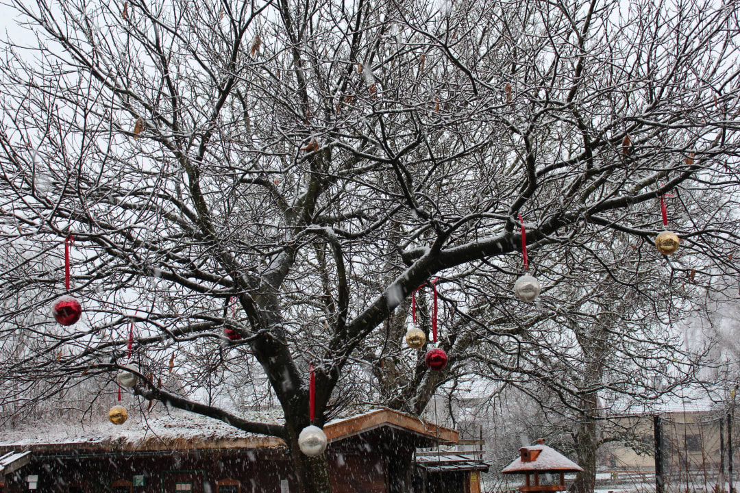 Sonstiges Ferienwohnungen Fetznhof Zuhäusl
