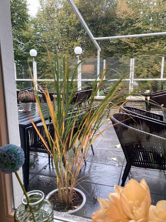 Gastro Seehotel Frankenhorst - BW Signature Collection